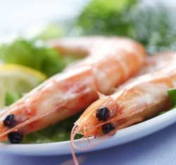 Domain- Gourmet seafood and Fresh lobster!